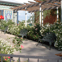 Dushanbe Tea House
